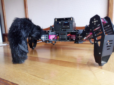 IMG_20240604_103450_774.jpg (2.37 MiB) Zobrazeno 5183 x IMG_20240604_103450_774.jpg