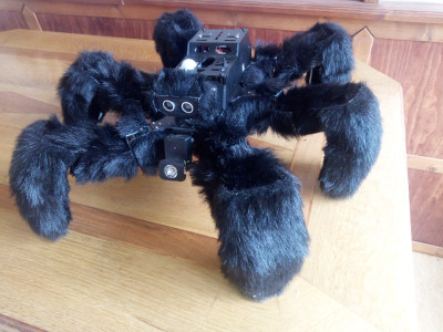 pavouk čelní pohled.jpg