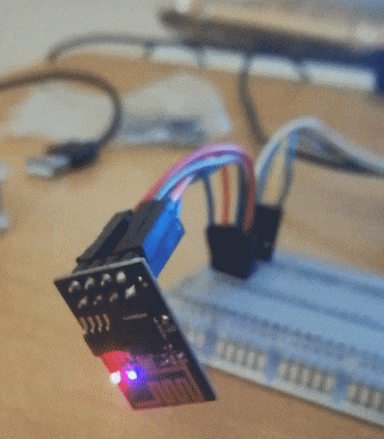 esp.gif